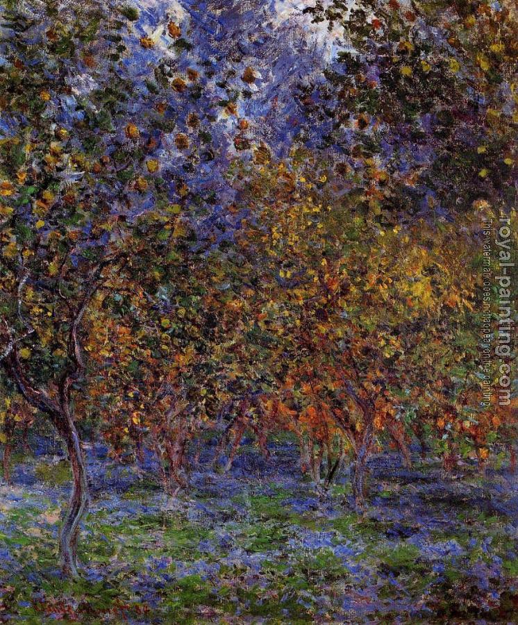 Claude Oscar Monet : Under the Lemon Trees
